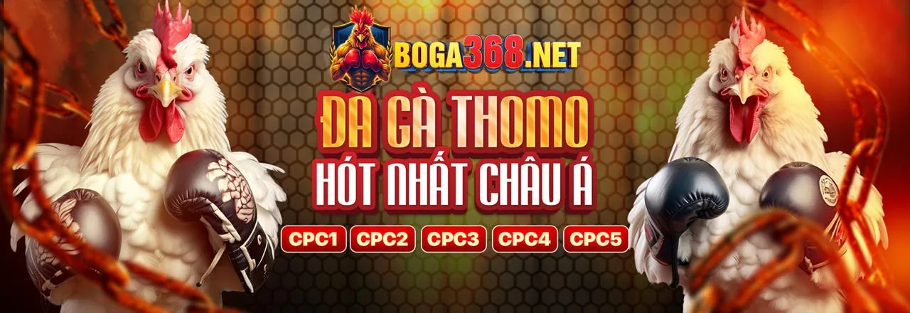 Cá cược thể thao đỉnh cao tại 84win chính thức